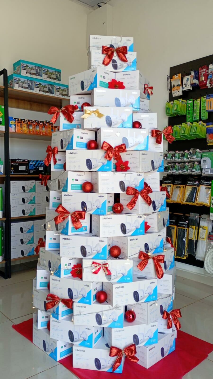 Imagem IMG-20251113-WA0006